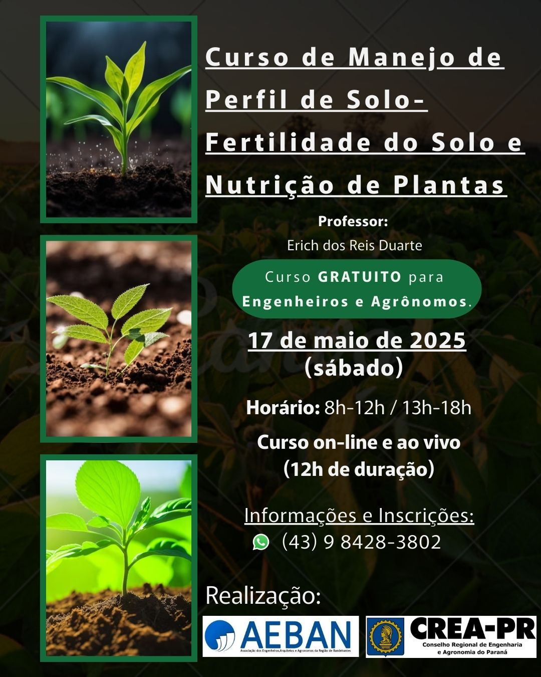 Curso Manejo de Perfil de Solo – Fertilidade do Solo e Nutrição Plantas
