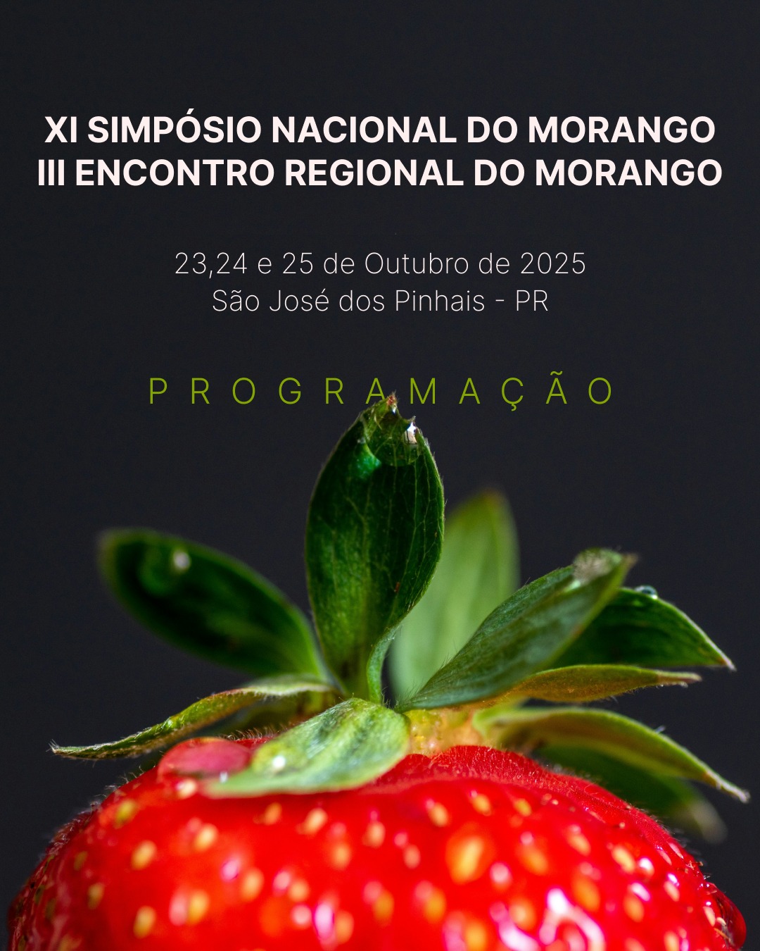 XI Simpósio Nacional do Morango – AEAPR